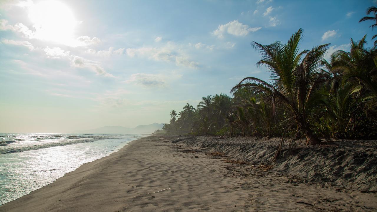 Costeno Beach Surf Camp Hotel Guachaca Exterior foto